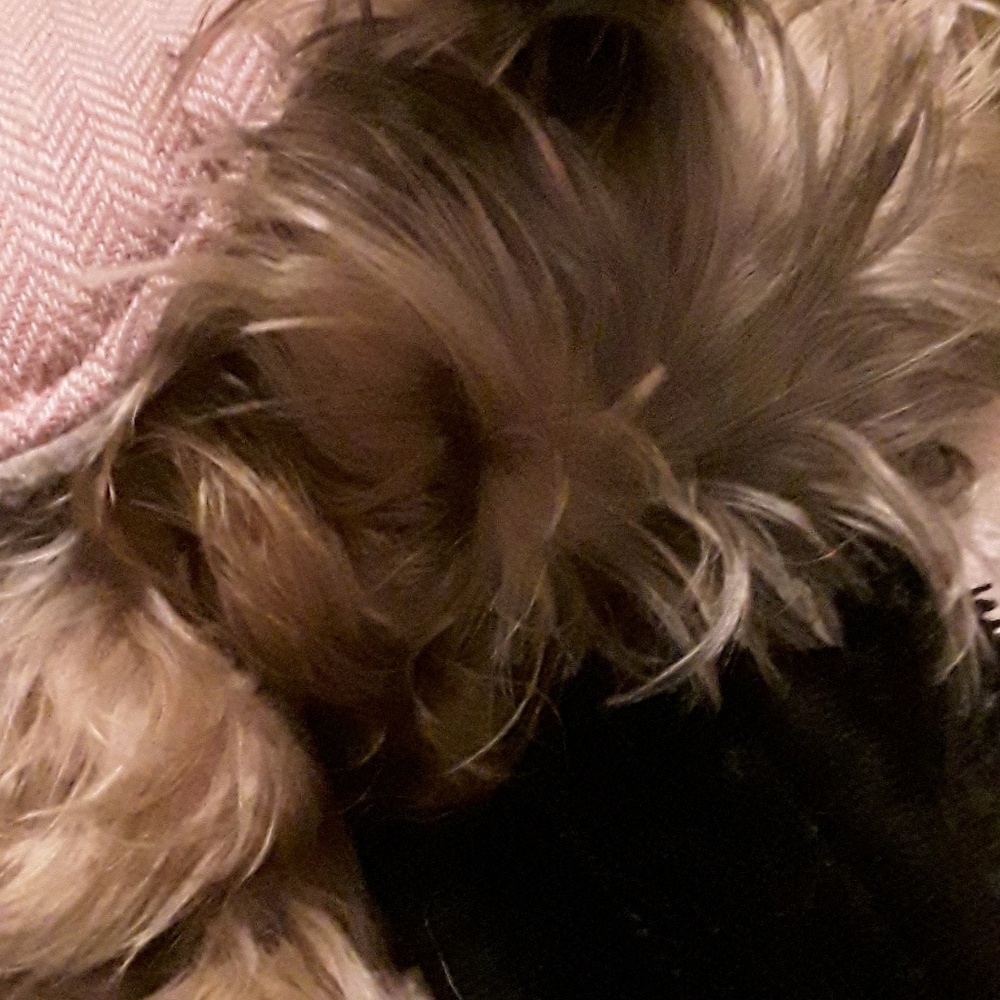 Meet your Posher, Danielle